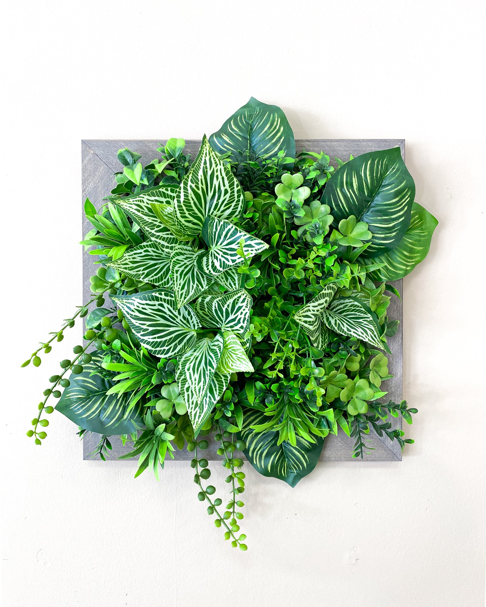 Tiny Frame „Parana“ - Natürlichkeit im kompakten Format