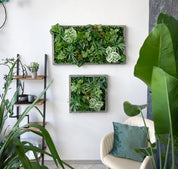 Plant Frame „Nublar“ - Künstliches Pflanzenbild im Jungle-Look aus Realtouch-Kunstpflanzen