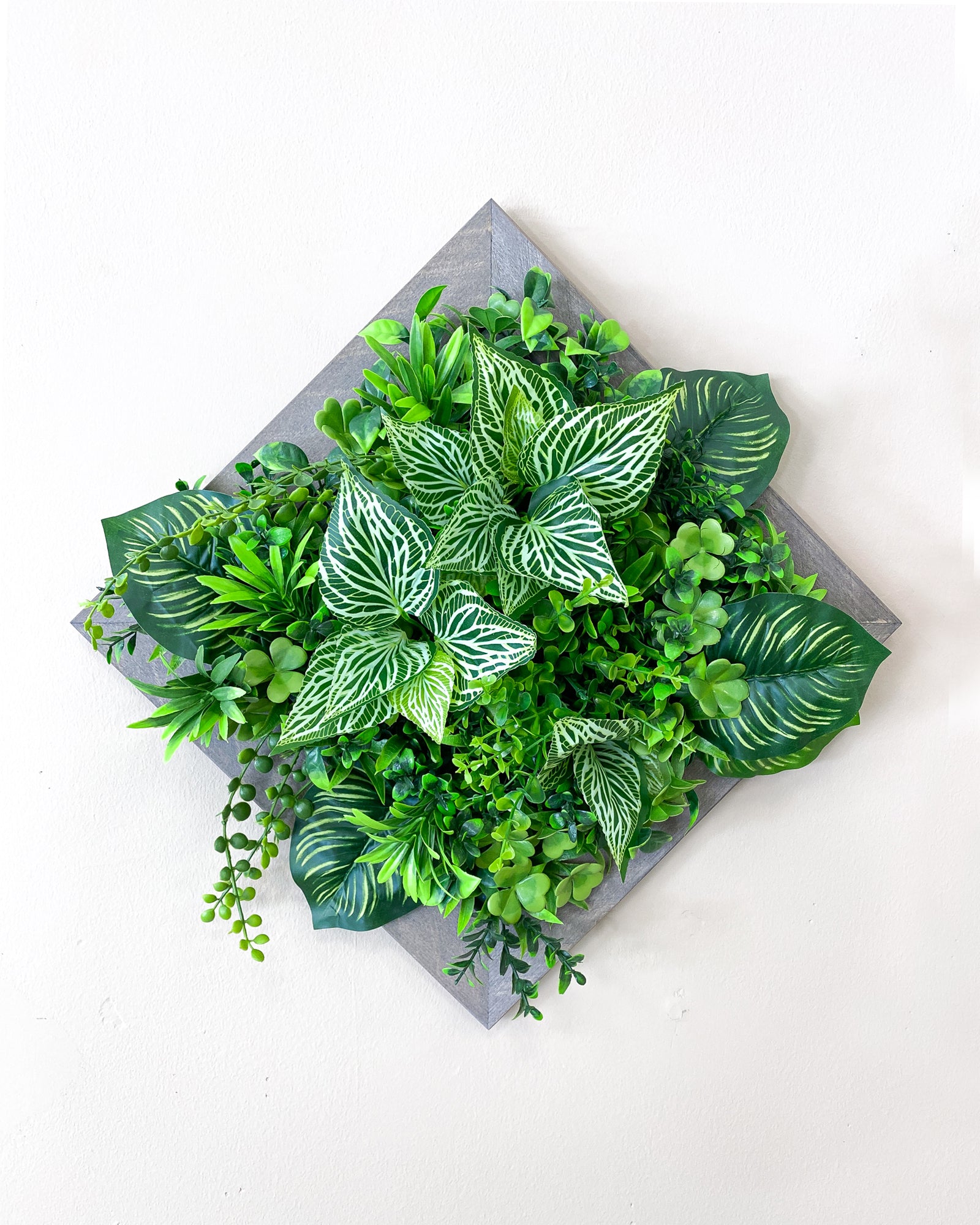 Tiny Frame „Parana“ - Natürlichkeit im kompakten Format