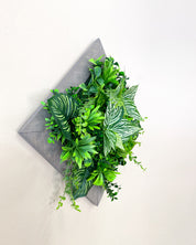 Tiny Frame „Parana“ - Natürlichkeit im kompakten Format