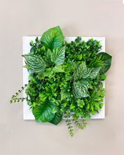 Tiny Frame „Parana“ - Natürlichkeit im kompakten Format