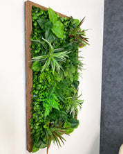 Plant Frame „Yucatan“ - Künstliches Pflanzenbild im Dschungel-Design aus Realtouch-Kunstpflanzen