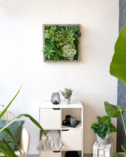 Plant Frame „Nublar“ - Künstliches Pflanzenbild im Jungle-Look aus Realtouch-Kunstpflanzen