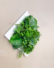 Tiny Frame „Parana“ - Natürlichkeit im kompakten Format