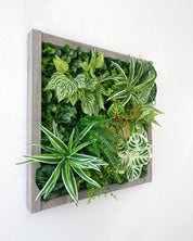 Plant Frame „Nublar“ - Künstliches Pflanzenbild im Jungle-Look aus Realtouch-Kunstpflanzen