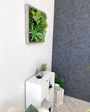 Plant Frame „Nublar“ - Künstliches Pflanzenbild im Jungle-Look aus Realtouch-Kunstpflanzen