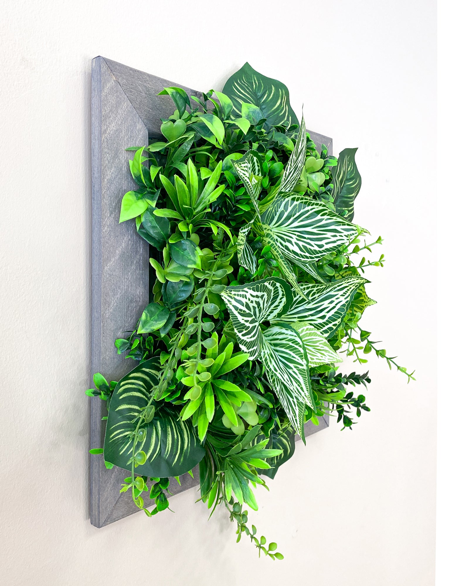 Tiny Frame „Parana“ - Natürlichkeit im kompakten Format