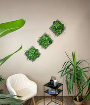 Tiny Frame „Parana“ - Natürlichkeit im kompakten Format