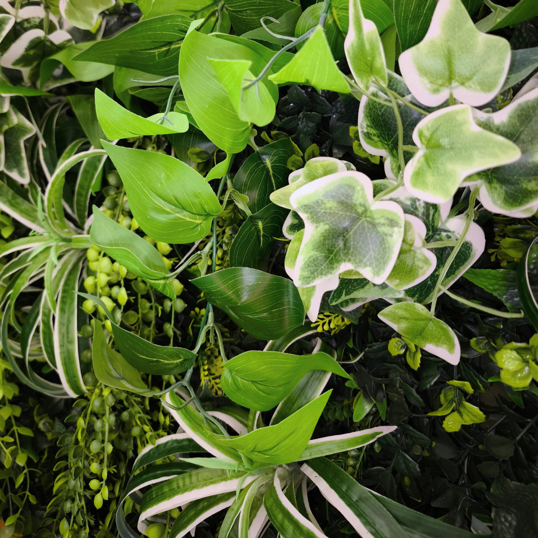 Detailreiche Nahaufnahme eines Greendecors Pflanzenbildes mit künstlichem Efeu, hellgrünen Ranken und vielfältigen Blattstrukturen im Naturholzrahmen