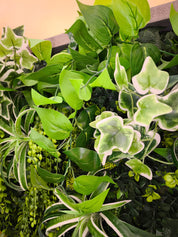 Plant Frame „Bogotá“ - Tropisches Pflanzenbild mit üppigem Grün