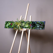 Plant Frame „Borneo“ - Künstliches Pflanzenbild im Jungle-Design aus Realtouch-Kunstpflanzen