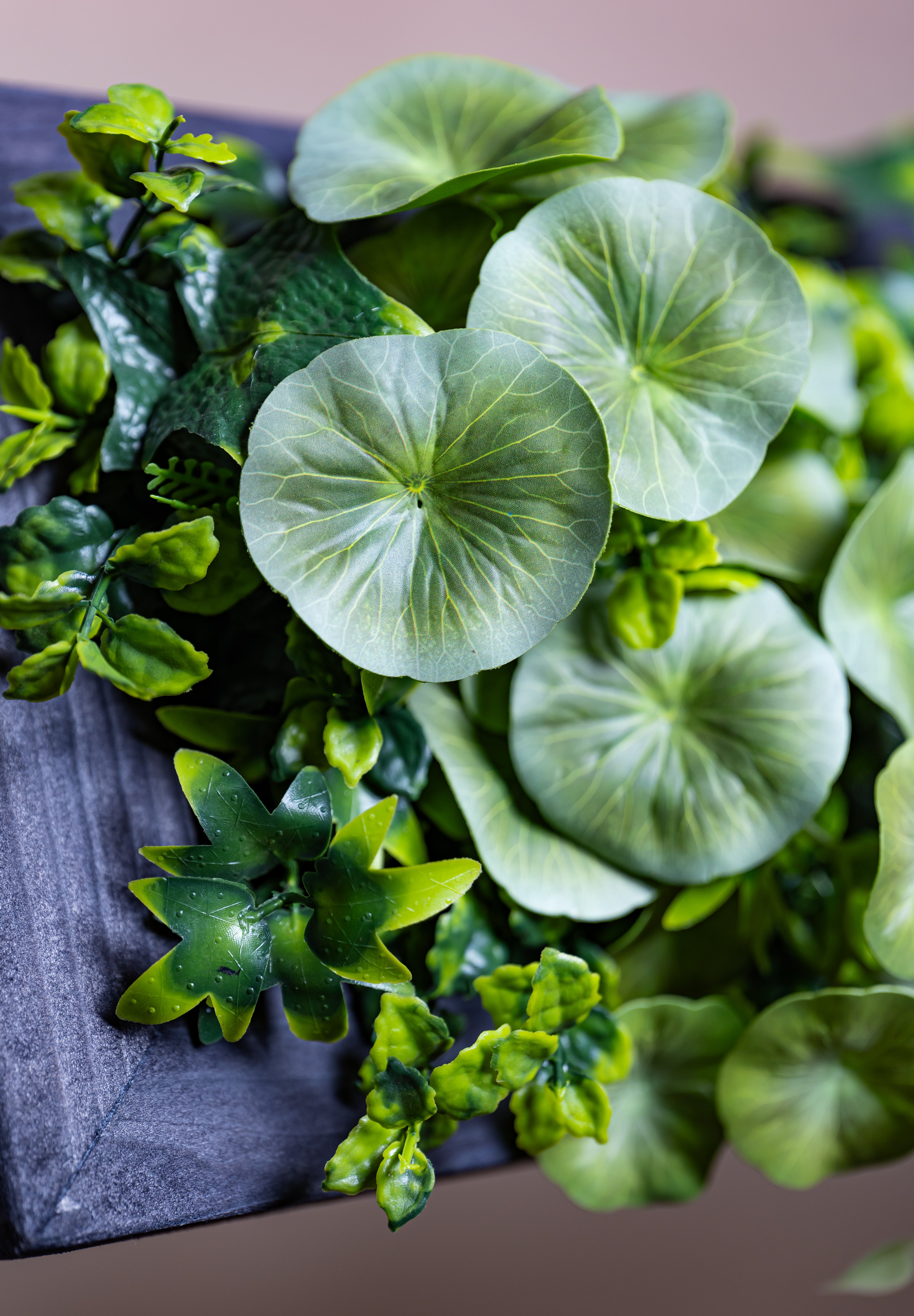 Plant Frame „Borneo“ - Künstliches Pflanzenbild im Jungle-Design aus Realtouch-Kunstpflanzen