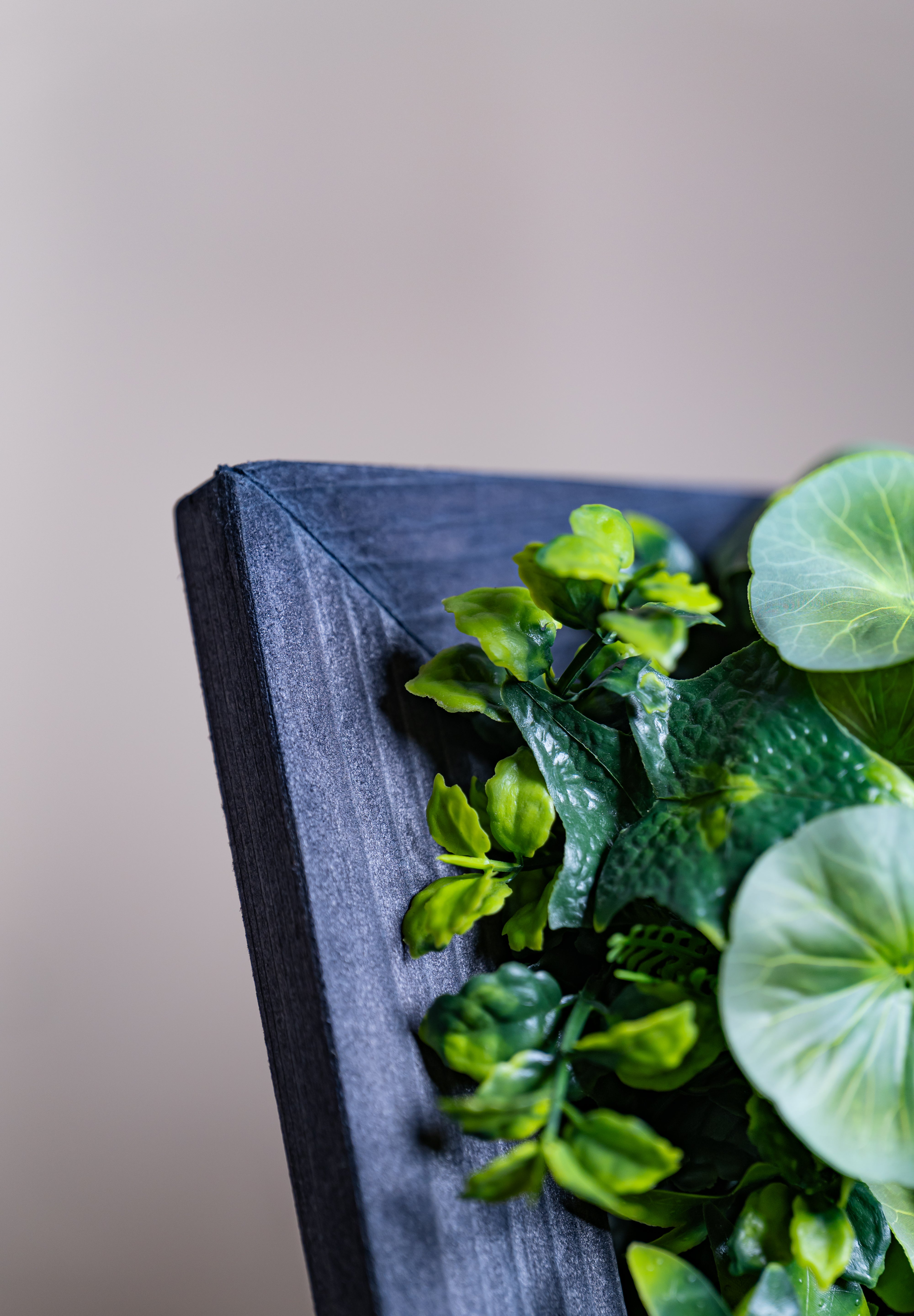 Plant Frame „Borneo“ - Künstliches Pflanzenbild im Jungle-Design aus Realtouch-Kunstpflanzen