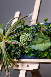 Plant Frame „Borneo“ - Künstliches Pflanzenbild im Jungle-Design aus Realtouch-Kunstpflanzen