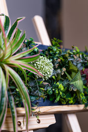 Plant Frame „Borneo“ - Künstliches Pflanzenbild im Jungle-Design aus Realtouch-Kunstpflanzen