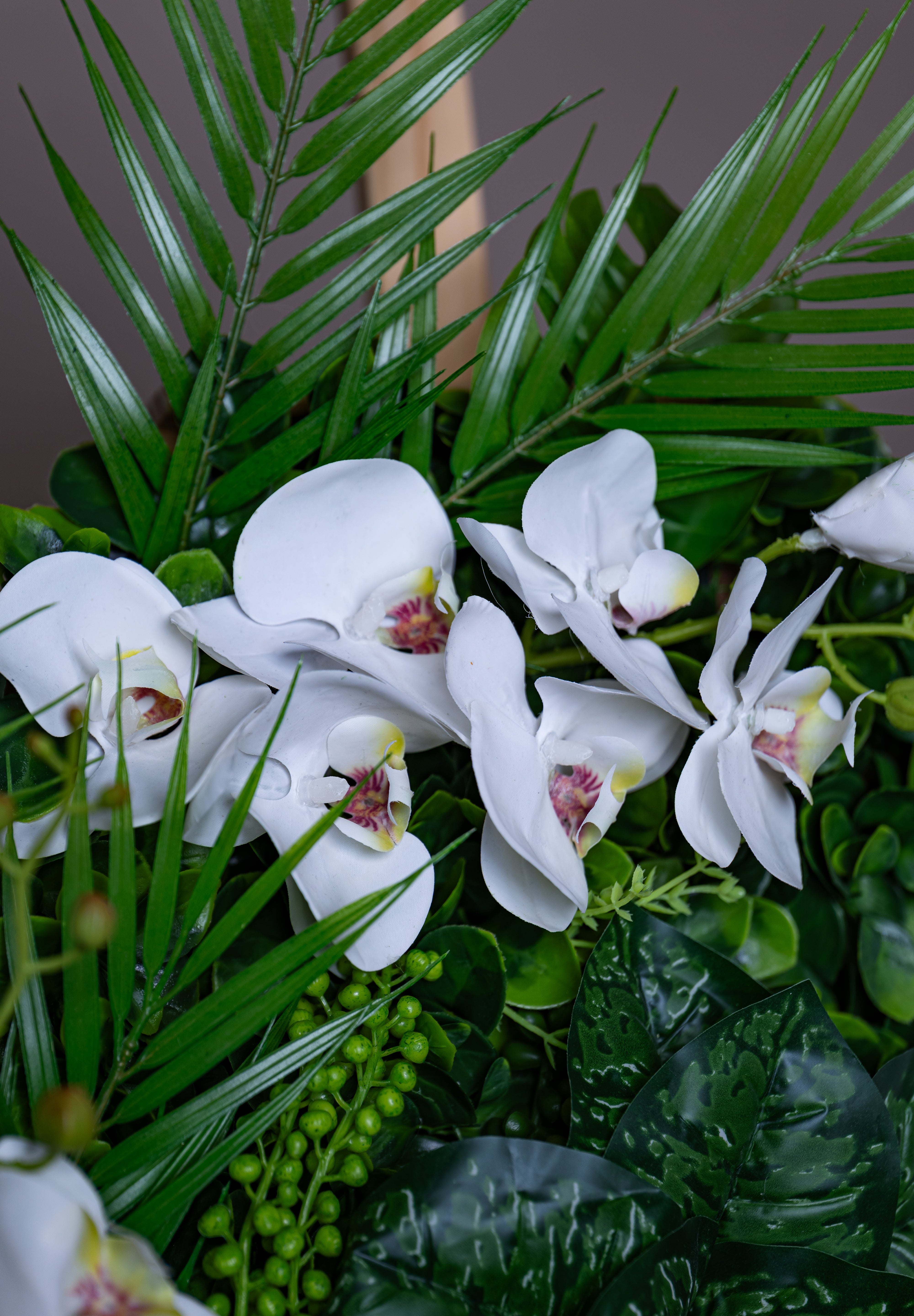 Plant Frame „Dia“ - Rundes Pflanzenbild im schwarzen Rahmen mit weißen Orchideen