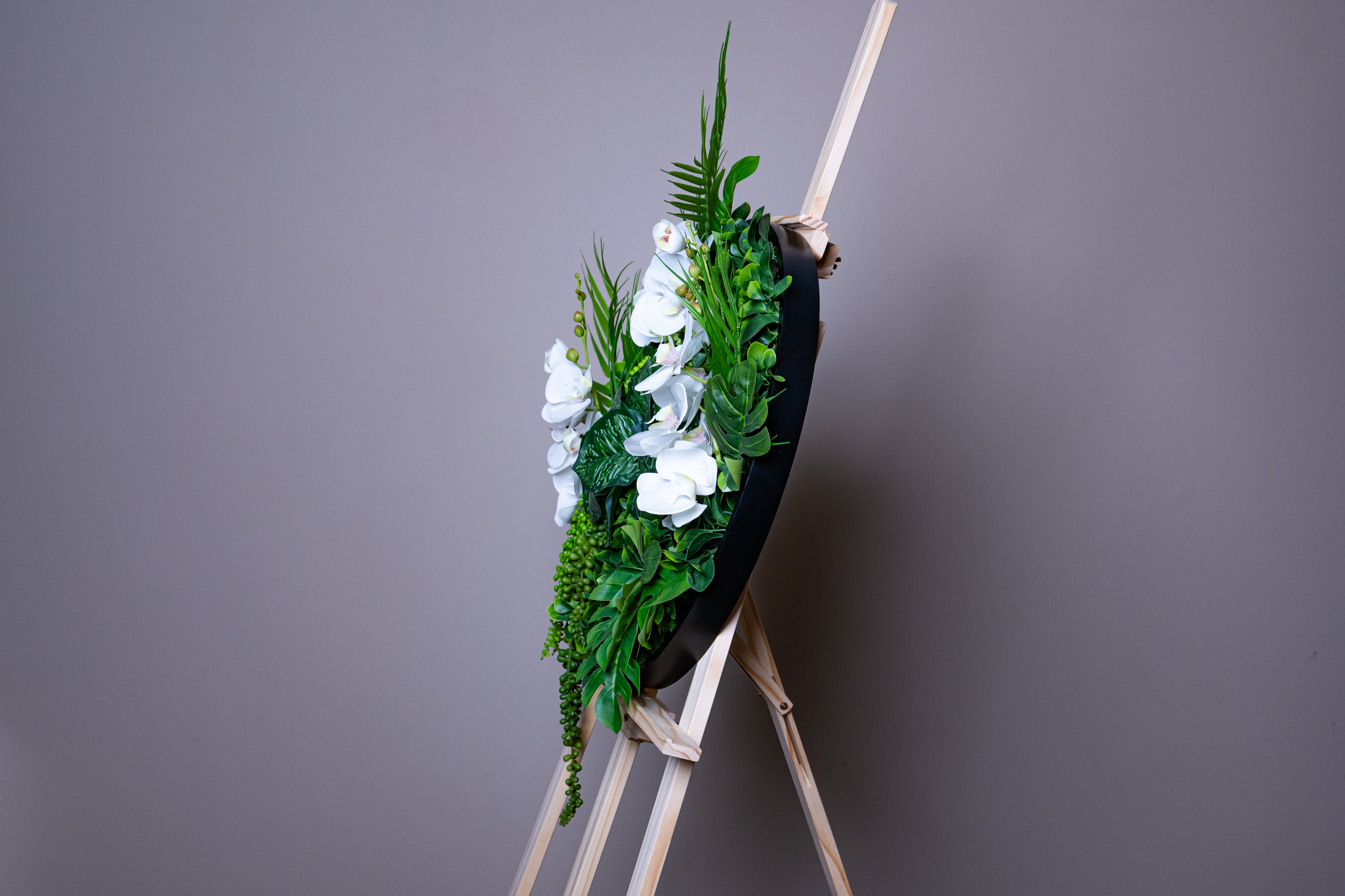 Plant Frame „Dia“ - Rundes Pflanzenbild im schwarzen Rahmen mit weißen Orchideen