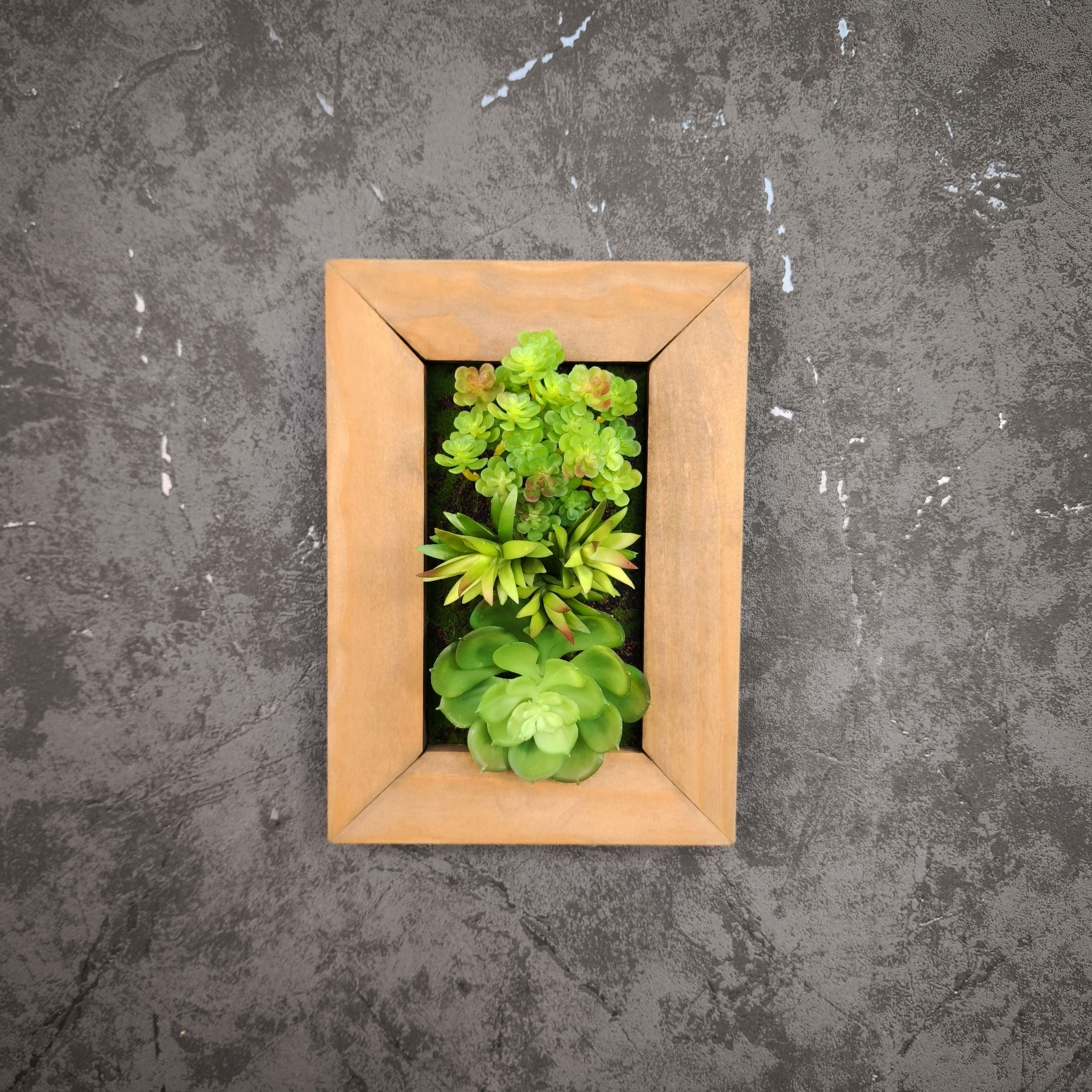 Frontalansicht eines kleinen Greendecors Tiny Frame mit künstlichen Sukkulenten im Naturholzrahmen, montiert an einer dunkelgrauen strukturierten Wand