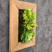Seitliche Nahaufnahme eines Greendecors Tiny Frame mit künstlichen Sukkulenten im warmen Holzrahmen, seitlich fotografiert vor dunkler Steinstruktur