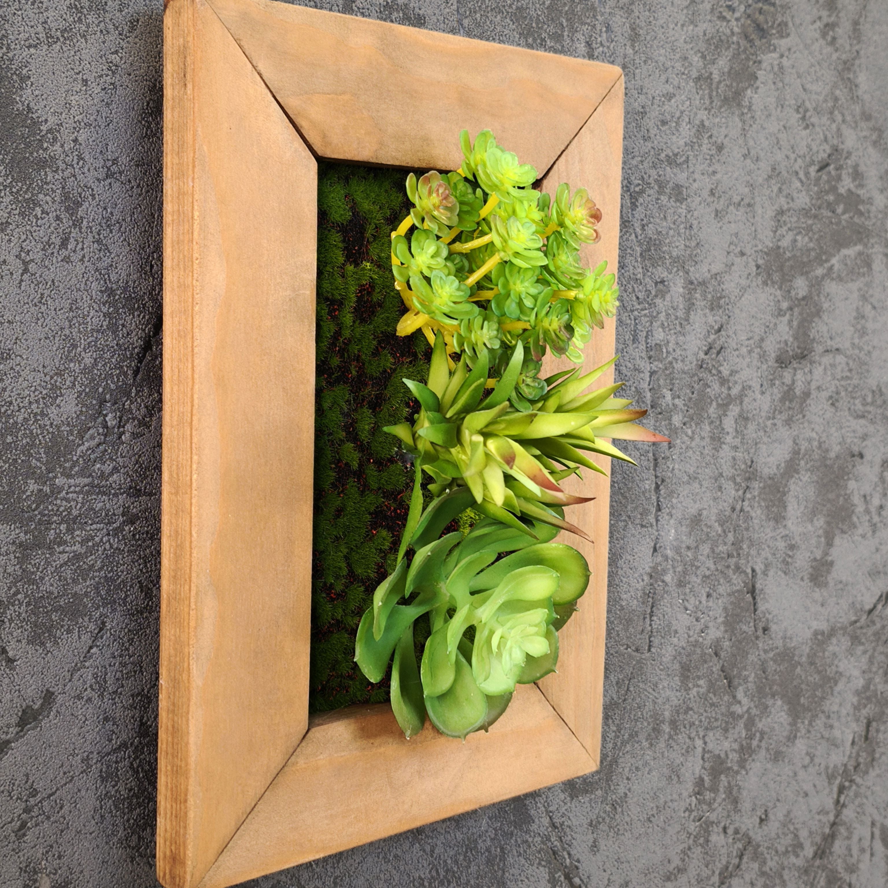 Seitliche Nahaufnahme eines Greendecors Tiny Frame mit künstlichen Sukkulenten im warmen Holzrahmen, seitlich fotografiert vor dunkler Steinstruktur