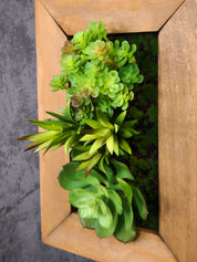 Seitliche Detailansicht eines vertikalen Greendecors Tiny Frame mit verschiedenen künstlichen Sukkulenten und Moos im Naturholzrahmen vor dunkler Steinstruktur