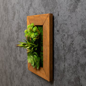 Detailansicht eines vertikalen Greendecors Sukkulentenbildes im Naturholzrahmen, seitlich fotografiert vor einer dunklen Wand mit sichtbarer Struktur