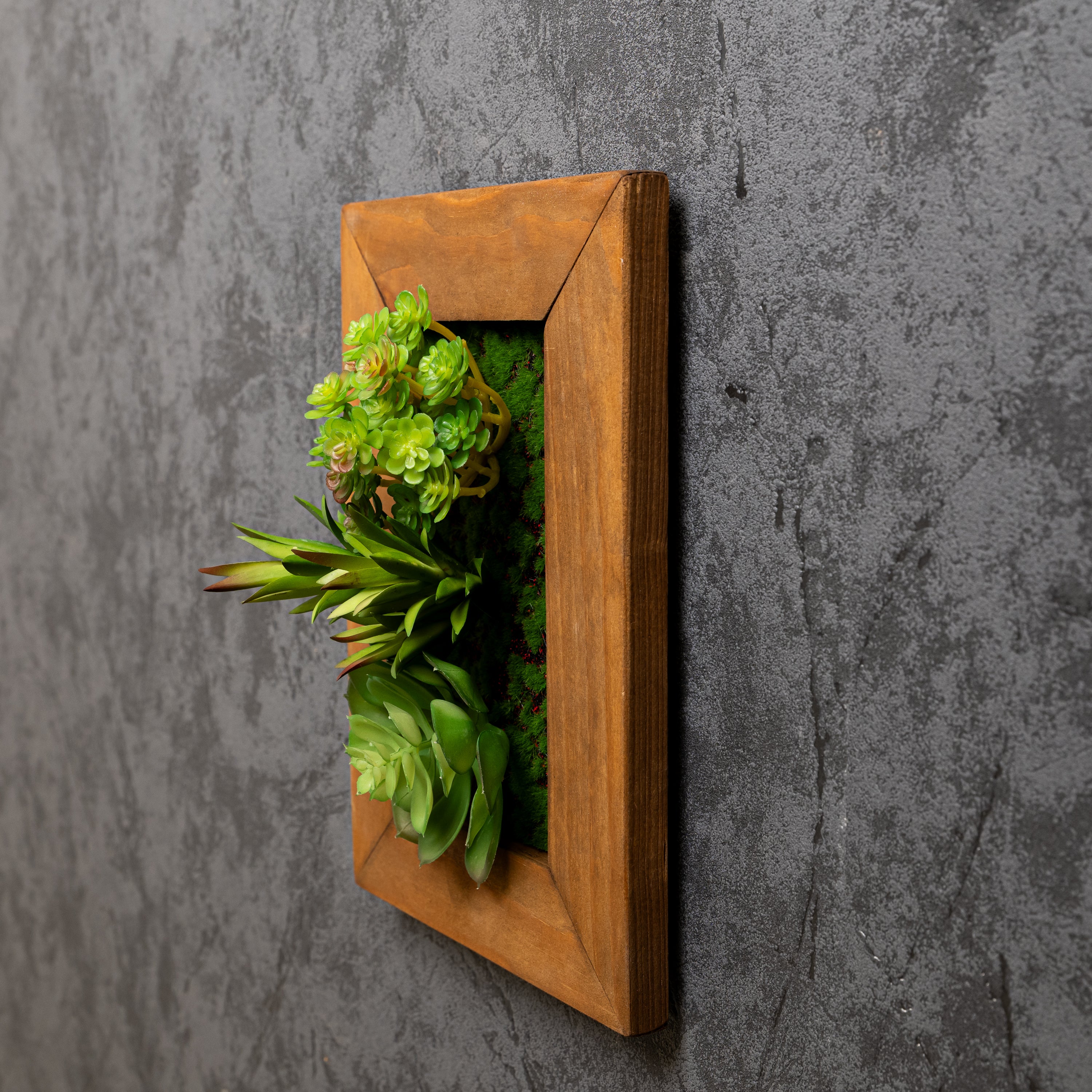 Detailansicht eines vertikalen Greendecors Sukkulentenbildes im Naturholzrahmen, seitlich fotografiert vor einer dunklen Wand mit sichtbarer Struktur