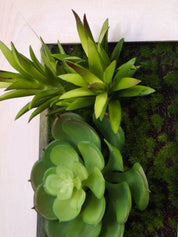 Nahe Detailaufnahme Tiny Frame im weißen Rahmen, mit künstlichen Sukkulenten und Moosstrukturen 