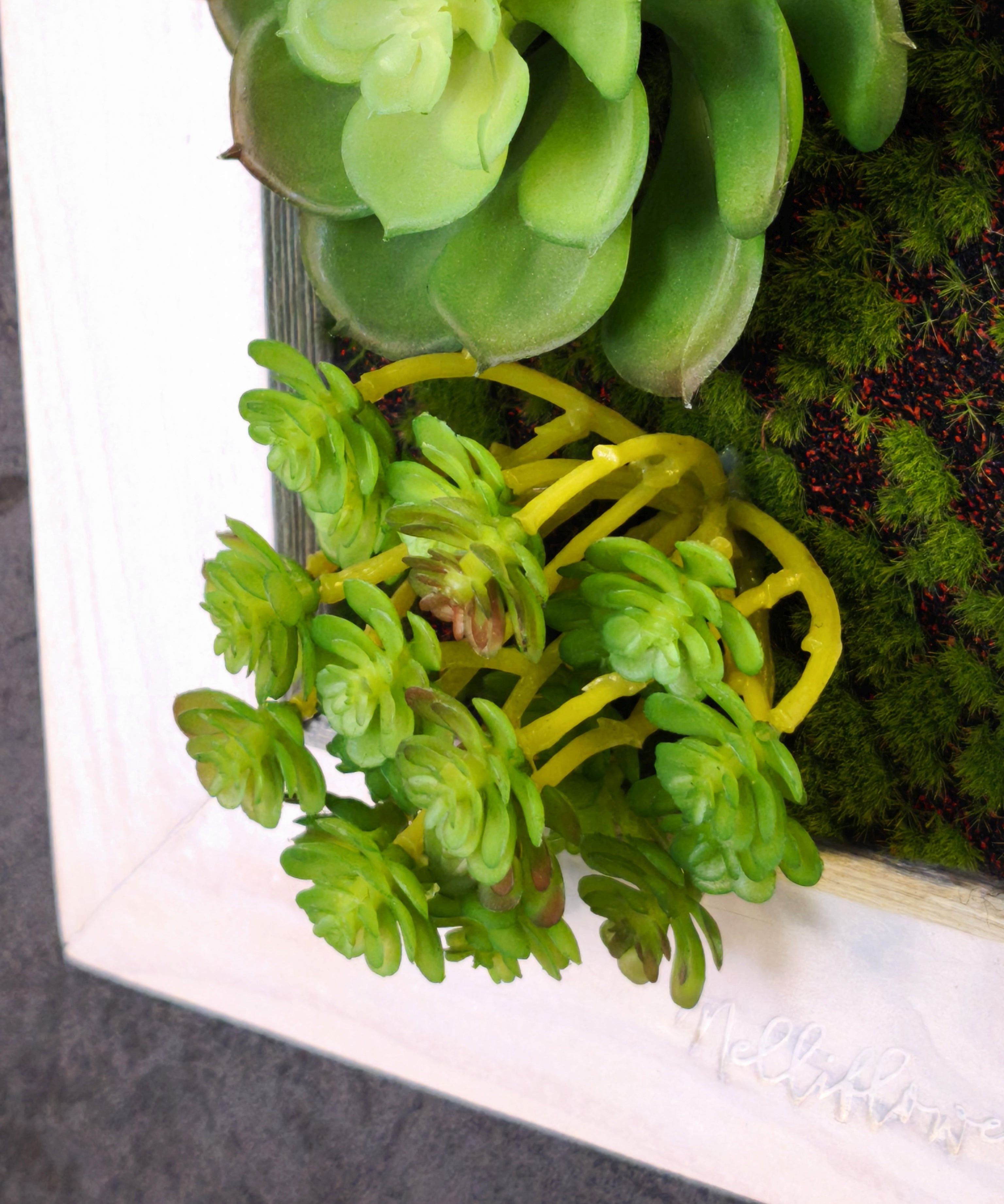 Sehr nahe Detailaufnahme eines Greendecors Tiny Frame im weißen Rahmen, mit künstlichen Sukkulenten und Moosstrukturen 