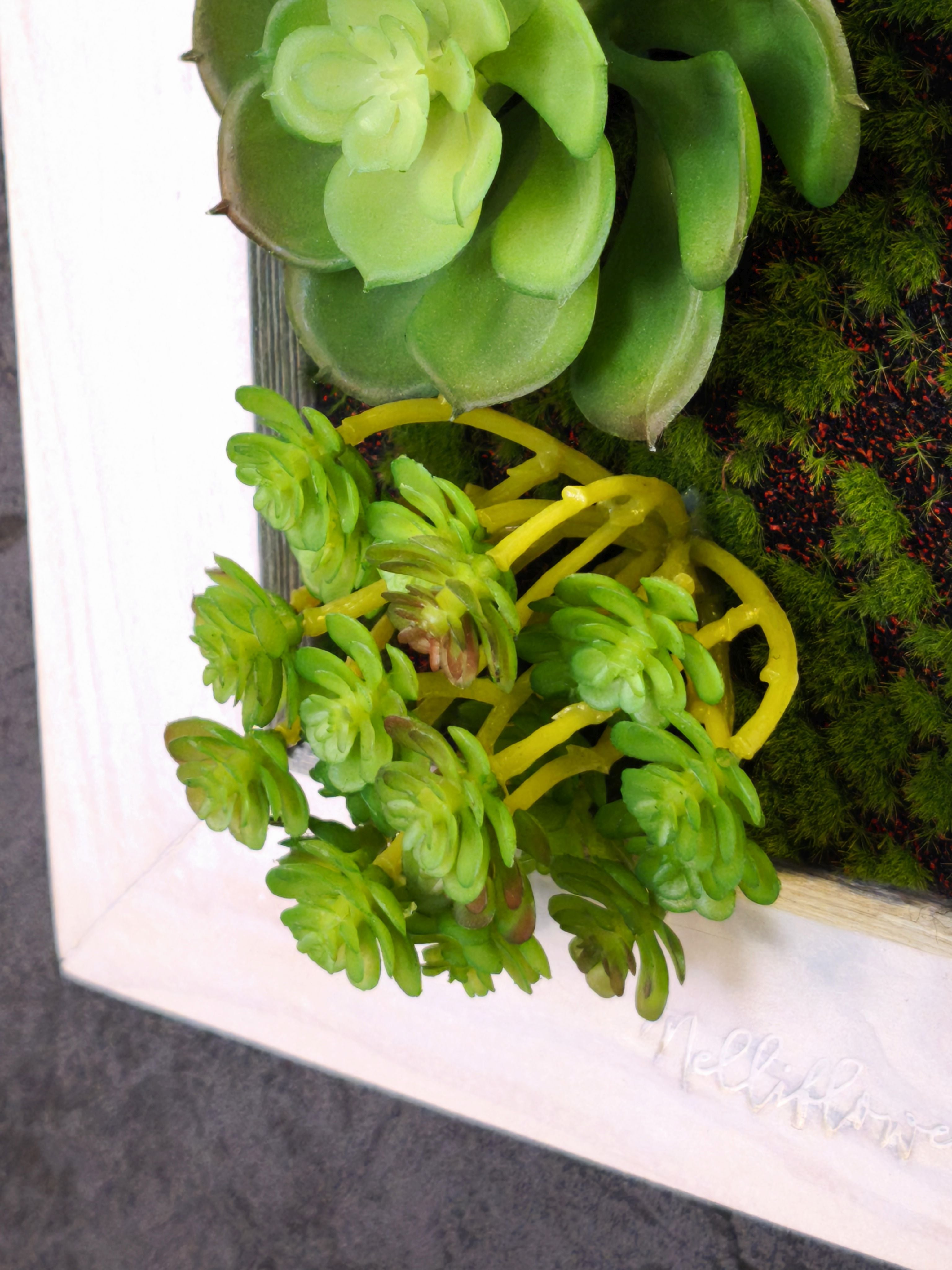 Sehr nahe Detailaufnahme eines Greendecors Tiny Frame im weißen Rahmen, mit künstlichen Sukkulenten und Moosstrukturen 