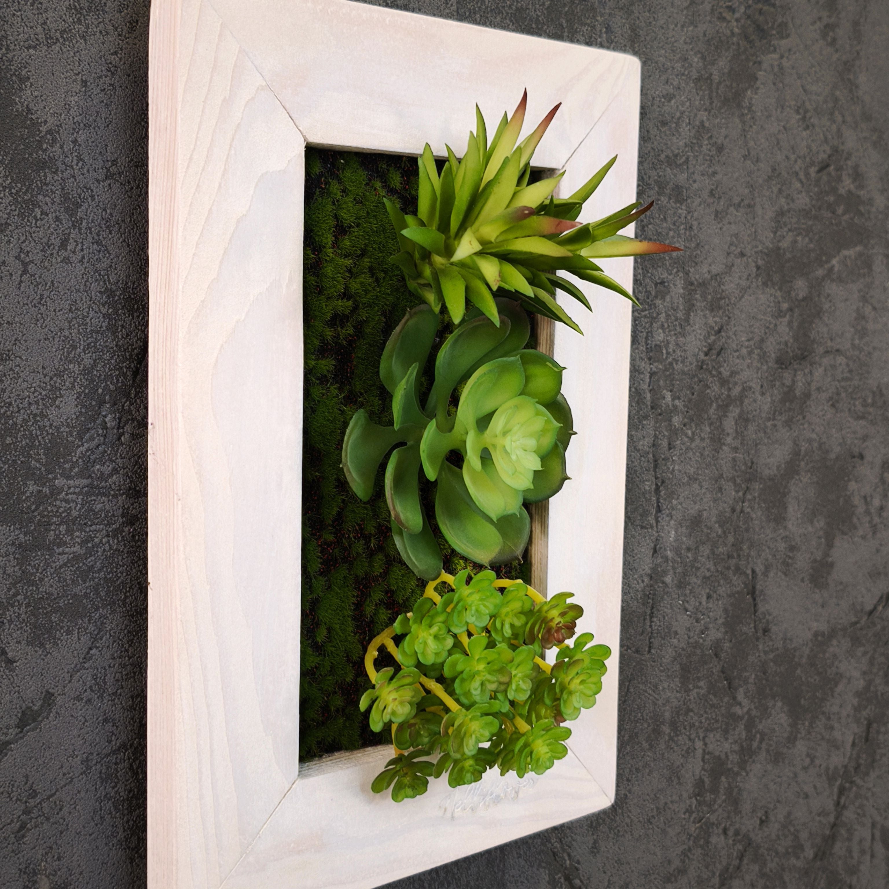 Seitliche Aufnahme eines Tiny Frame mit künstlichen Sukkulenten im weißen Holzrahmen, montiert an einer dunkelgrauen Wand