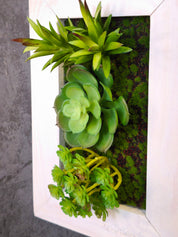 Detailreiche Nahaufnahme eines kleinen Greendecors Tiny Frame mit künstlichen Sukkulenten im weißen Holzrahmen vor dunkler Wand