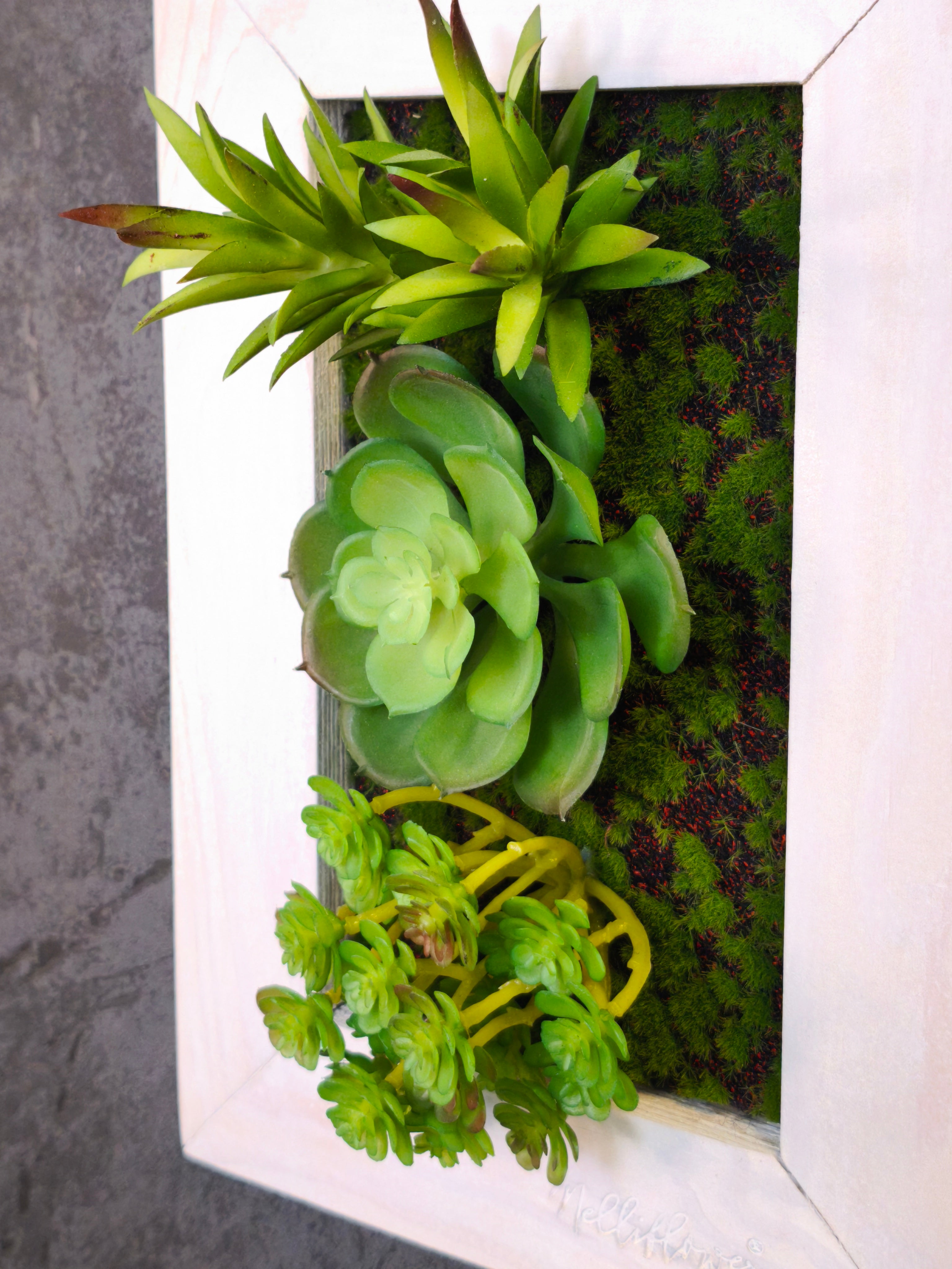 Detailreiche Nahaufnahme eines kleinen Greendecors Tiny Frame mit künstlichen Sukkulenten im weißen Holzrahmen vor dunkler Wand