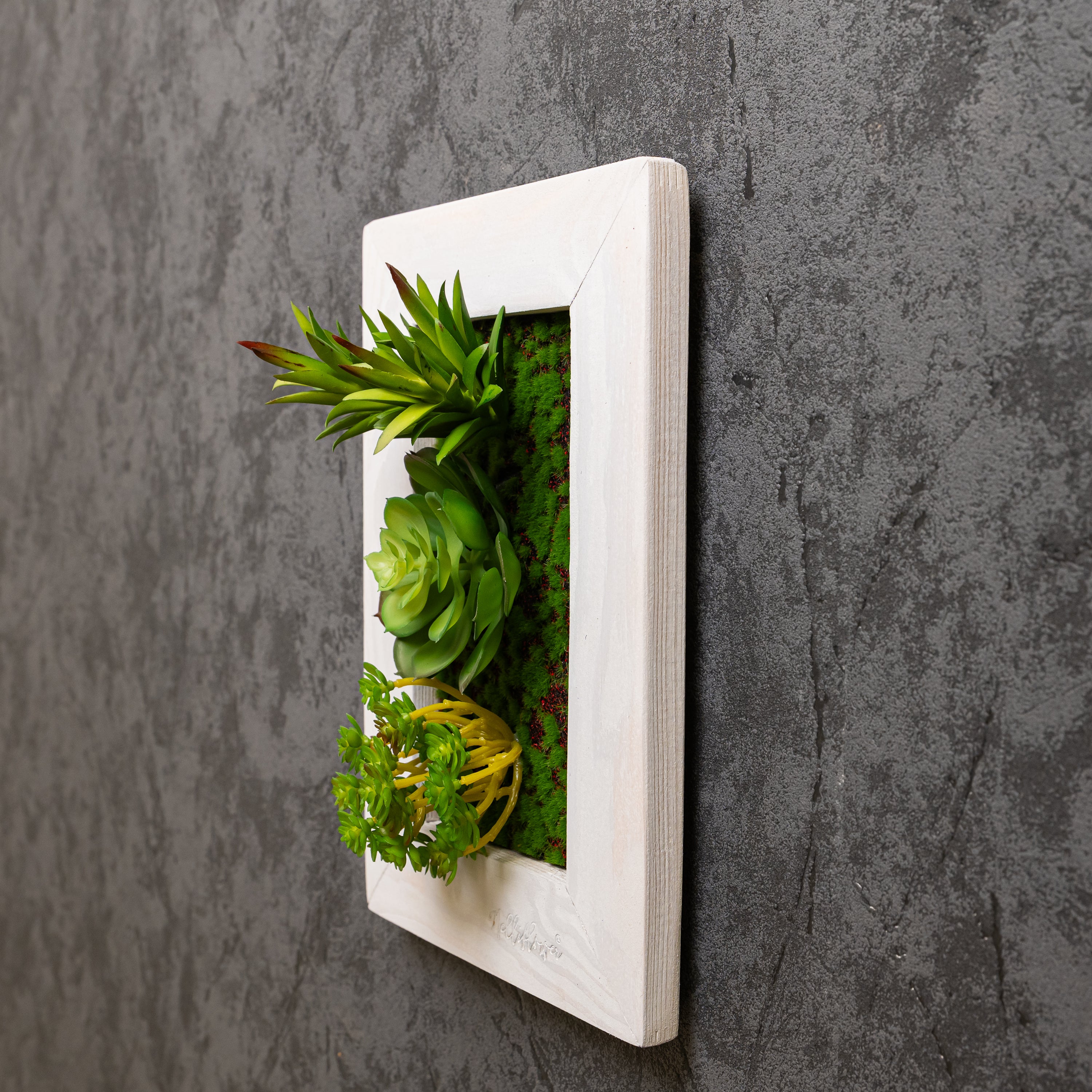 Seitliche Nahaufnahme eines Greendecors Tiny Frame mit künstlichen Sukkulenten in weißem Rahmen, montiert an einer dunklen strukturierten Wand
