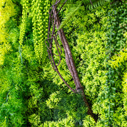 Nahaufnahme Plantframe im Holzrahmen braun