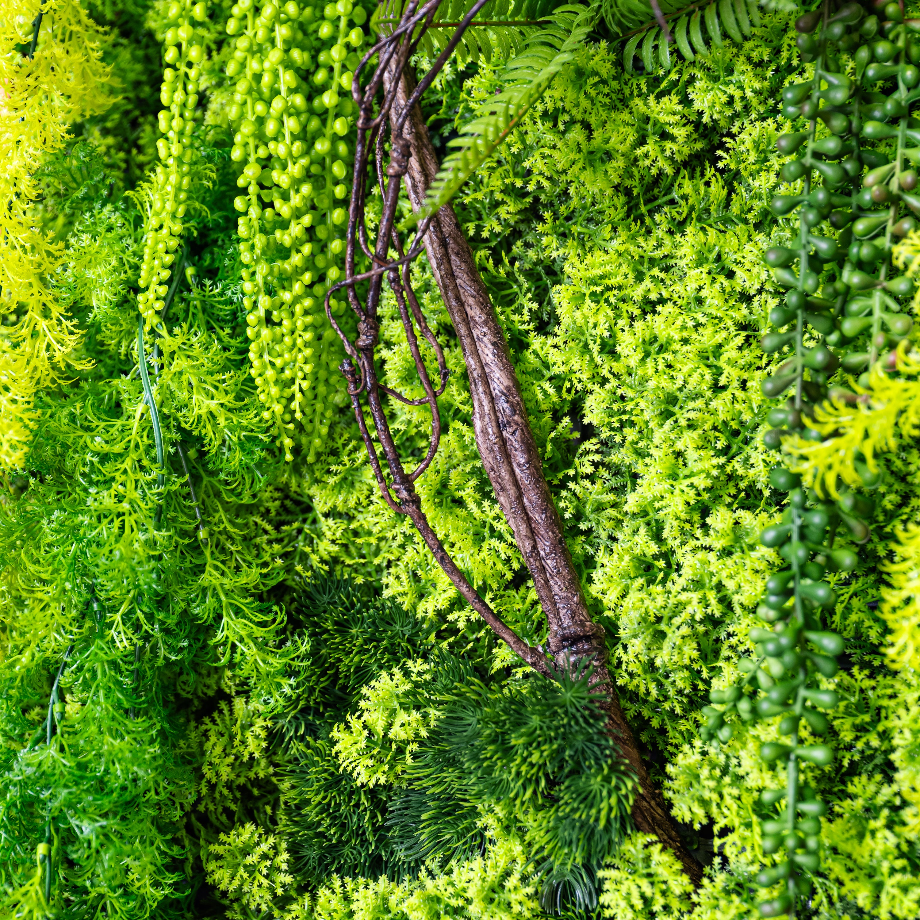 Nahaufnahme Plantframe im Holzrahmen braun