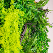 Nahaufnahme Plantframe im Holzrahmen braun