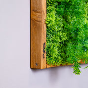 Nahaufnahme Plantframe im Holzrahmen braun