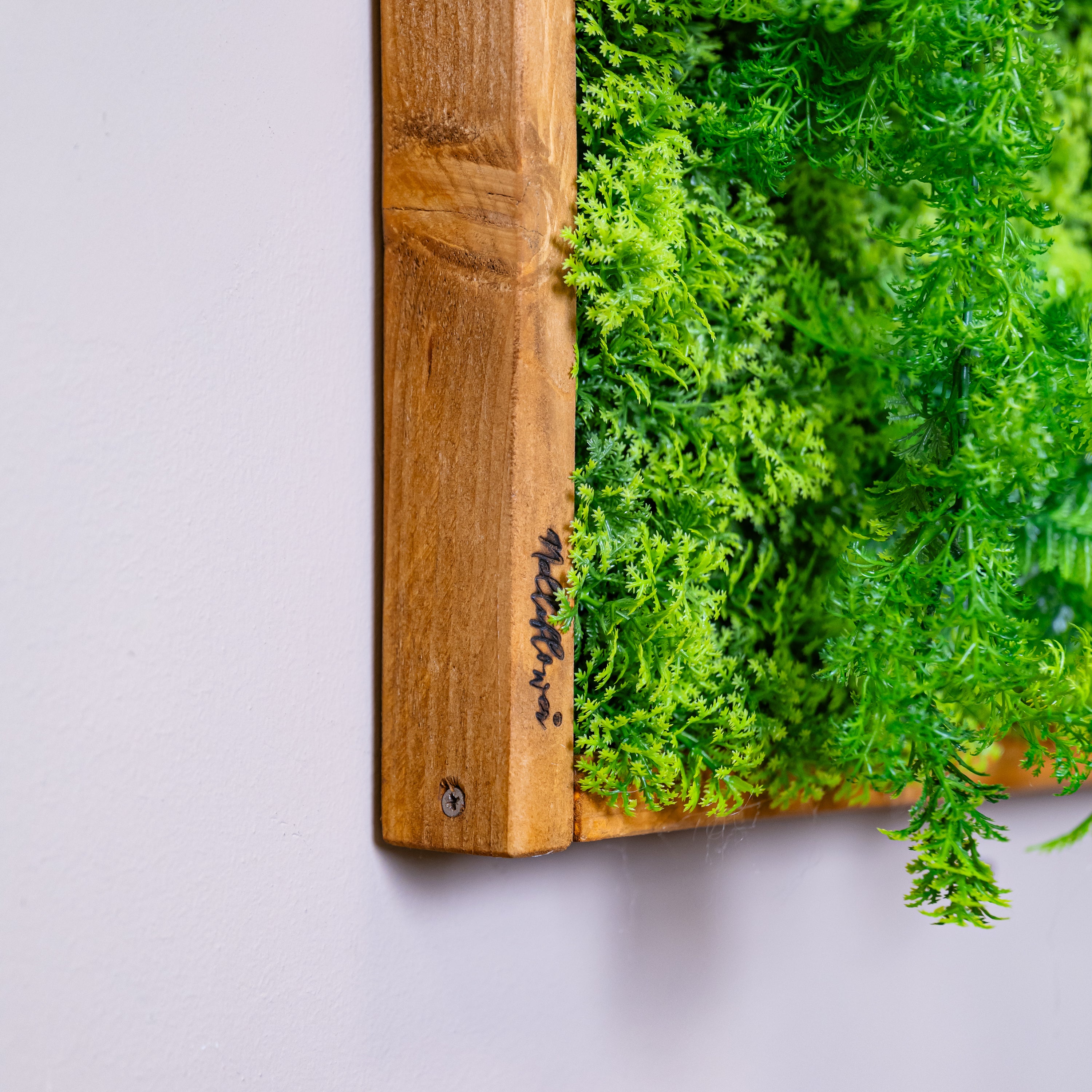 Nahaufnahme Plantframe im Holzrahmen braun