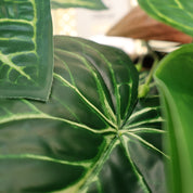 Anthurium clarinervium | Künstliche Dekopflanze für moderne Wohnraumdekoration
