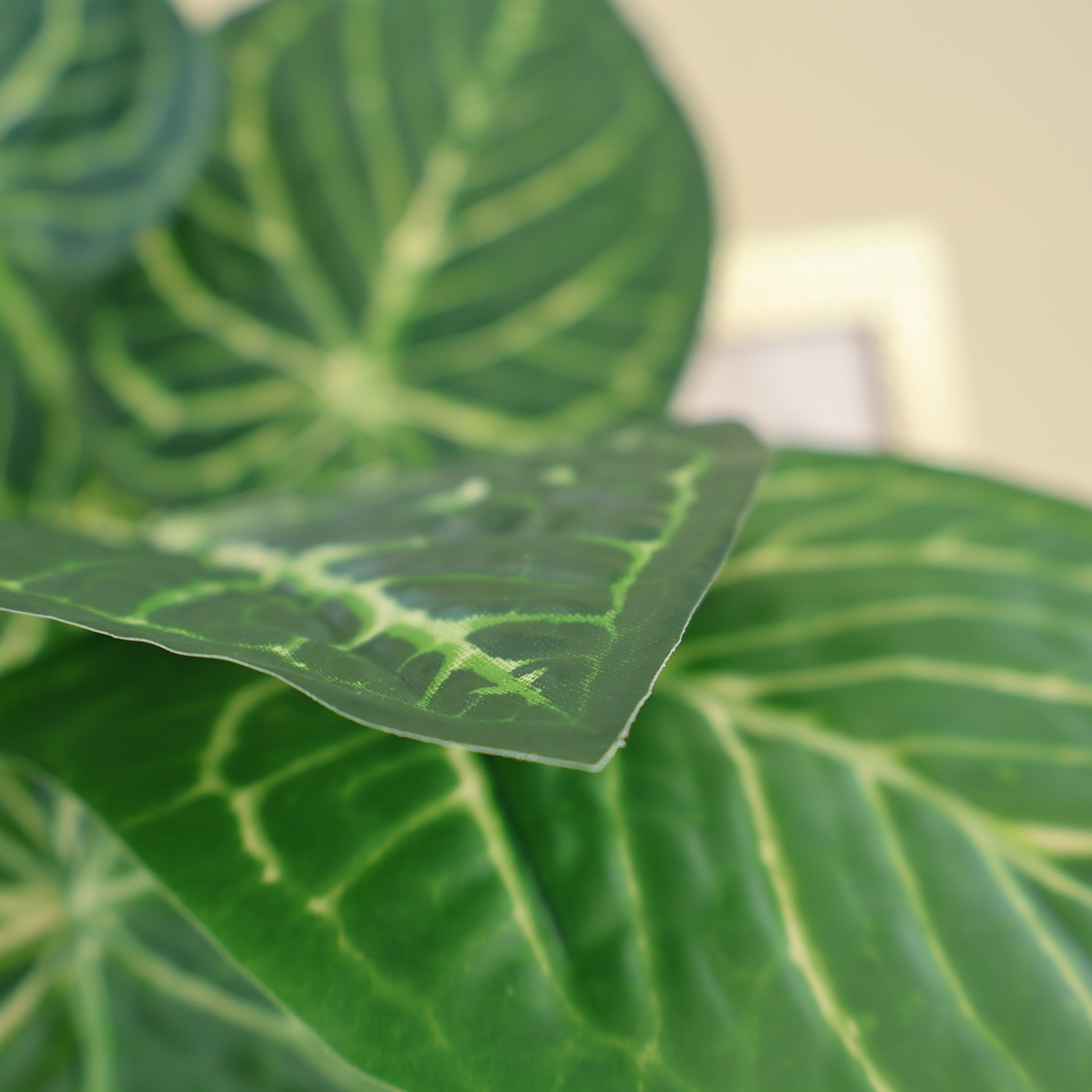 Anthurium clarinervium | Künstliche Dekopflanze für moderne Wohnraumdekoration