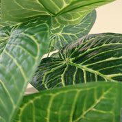 Anthurium clarinervium | Künstliche Dekopflanze für moderne Wohnraumdekoration