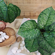 Makroaufnahme einer künstlichen Aglaonema mit dunkelgrünen Blättern und hellgrüner Marmorierung. Die detailreiche Blattstruktur und die natürliche Farbgebung kommen in einem dekorativen Arrangement mit Sand, weißen Kieselsteinen, Muscheln und einer Kokosnussschale besonders zur Geltung. Die hochwertige Verarbeitung verleiht der Kunstpflanze eine realistische Optik und macht sie ideal für Vasen, Gestecke und stilvolle Wohnraumdekorationen.