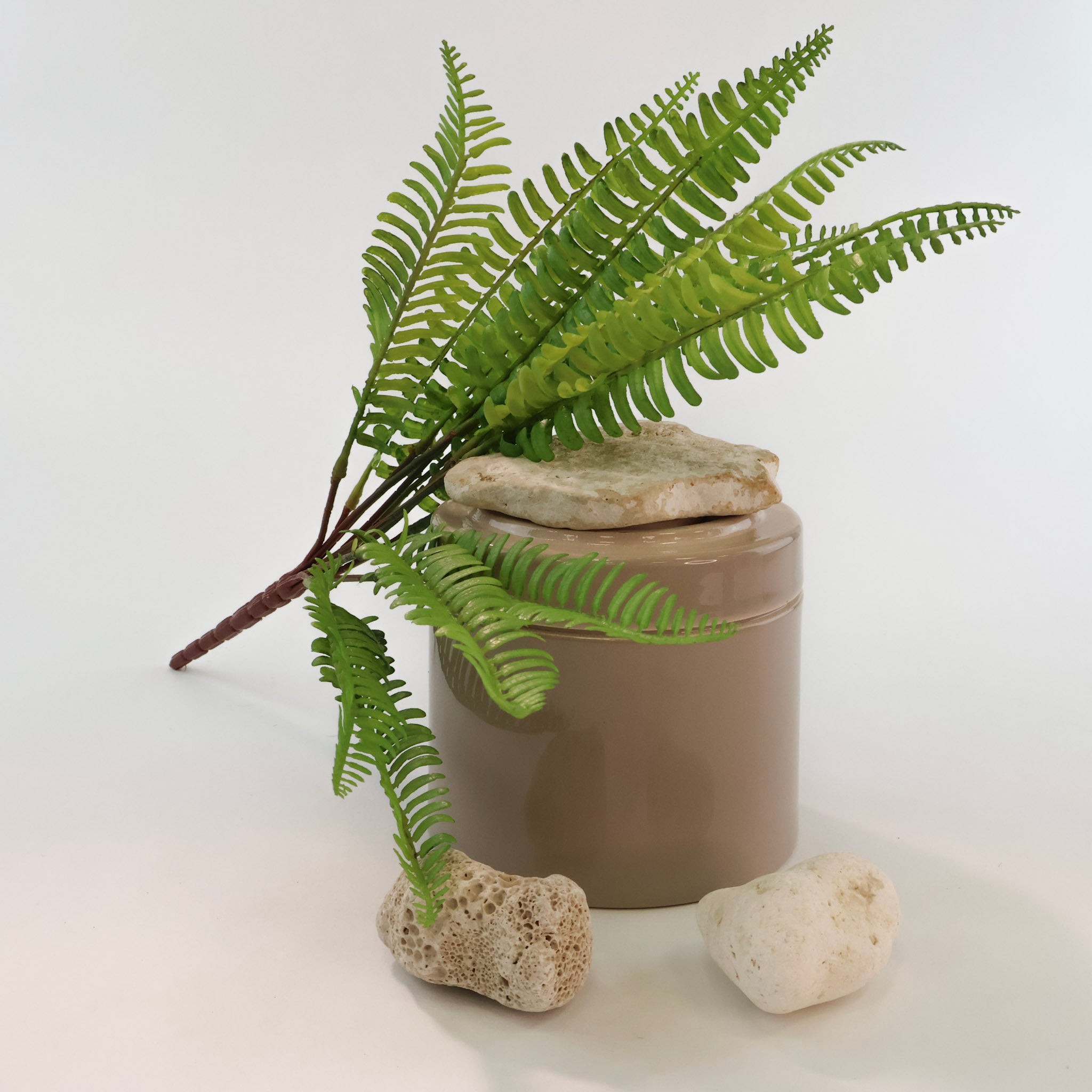 Künstlicher Farnzweig mit detailreichen grünen Blättern dekorativ auf einer beigen Keramikdose mit hellen Natursteinen arrangiert, minimalistisches Pflanzen-Arrangement auf weißem Hintergrund.
