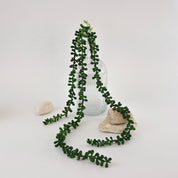 Künstliche Hängepflanze mit langen, herabhängenden Trieben und kleinen dunkelgrünen Blättern in einer geriffelten Glasvase. Die dekorative Kunstpflanze fällt elegant über die Vase hinweg und wird von hellen Natursteinen auf weißem Hintergrund stilvoll ergänzt.