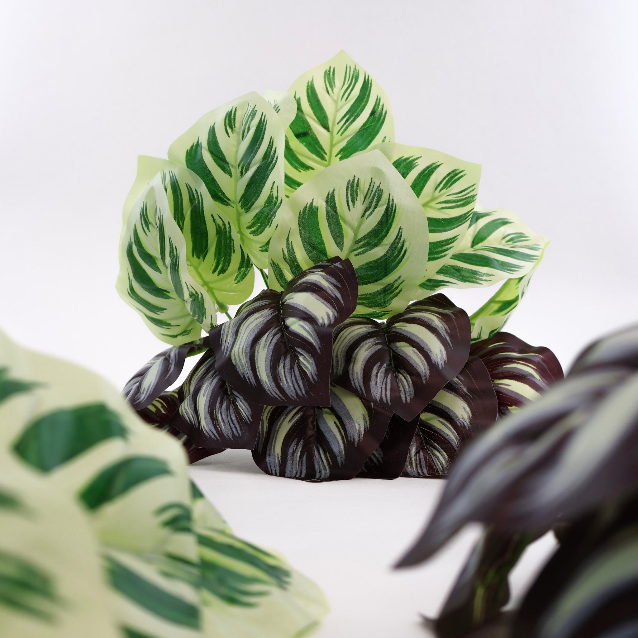 Calathea Yellow Fusion | Künstliche Zimmerpflanze für moderne Wohnraumdekoration