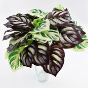 Calathea Yellow Fusion | Künstliche Zimmerpflanze für moderne Wohnraumdekoration