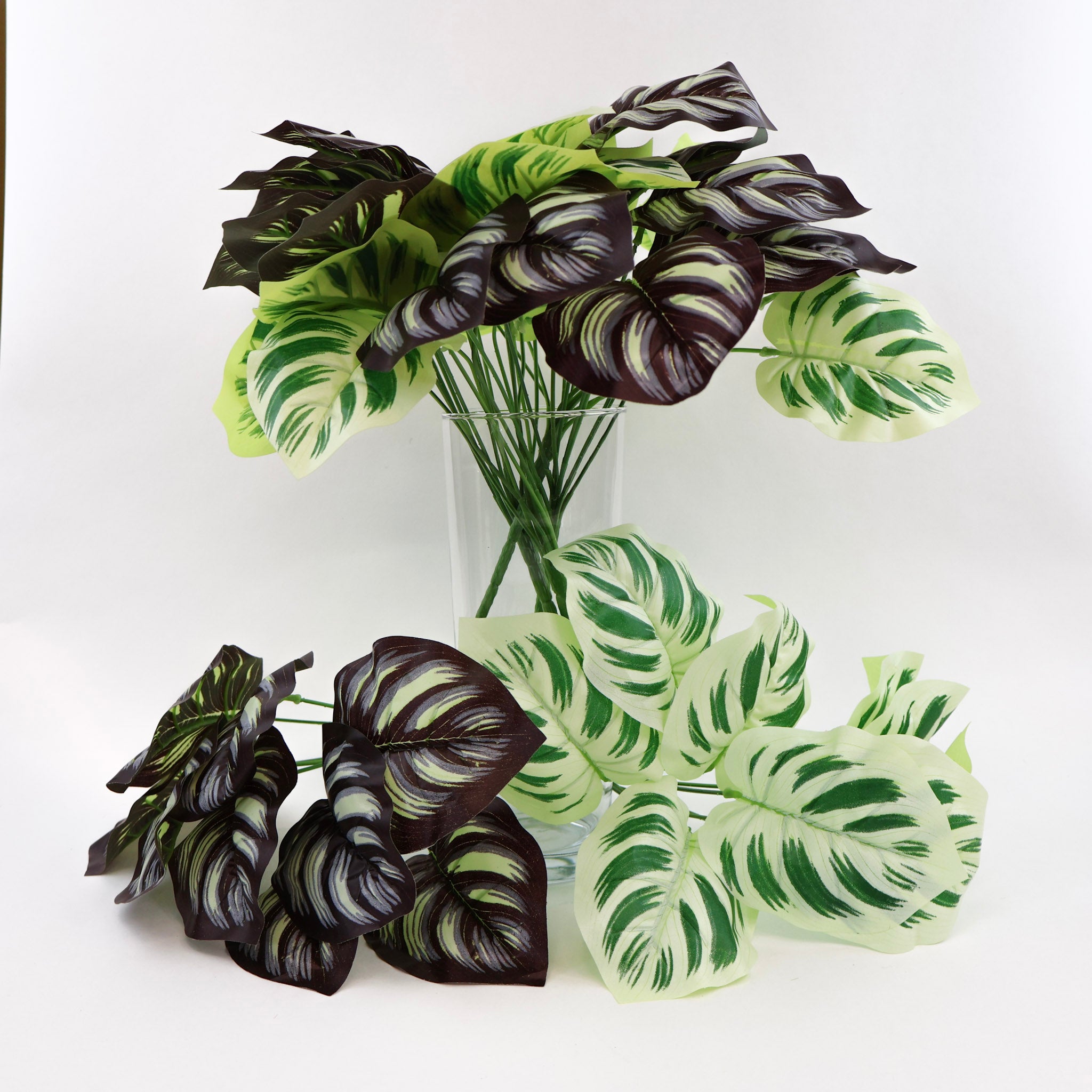 Calathea Makoyana | Künstliche Zimmerpflanze für moderne Wohnraumdekoration
