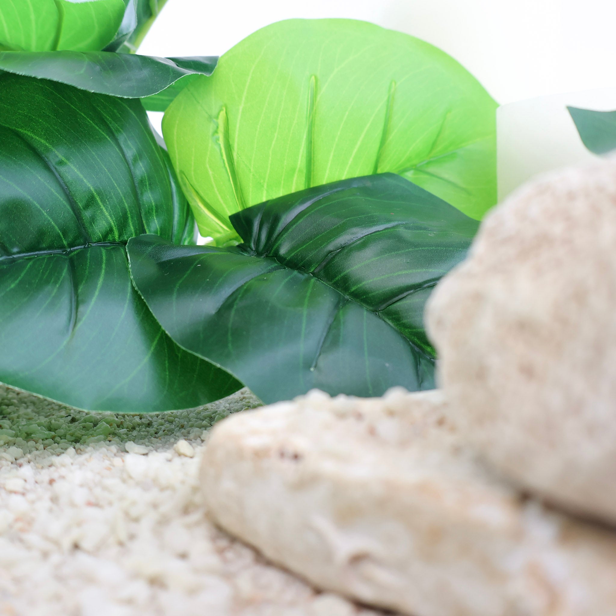 Nahaufnahme künstlicher grüner Blätter in verschiedenen Grüntönen neben hellen Natursteinen auf sandfarbenem Untergrund, dekoratives Pflanzen-Arrangement mit natürlicher Optik.