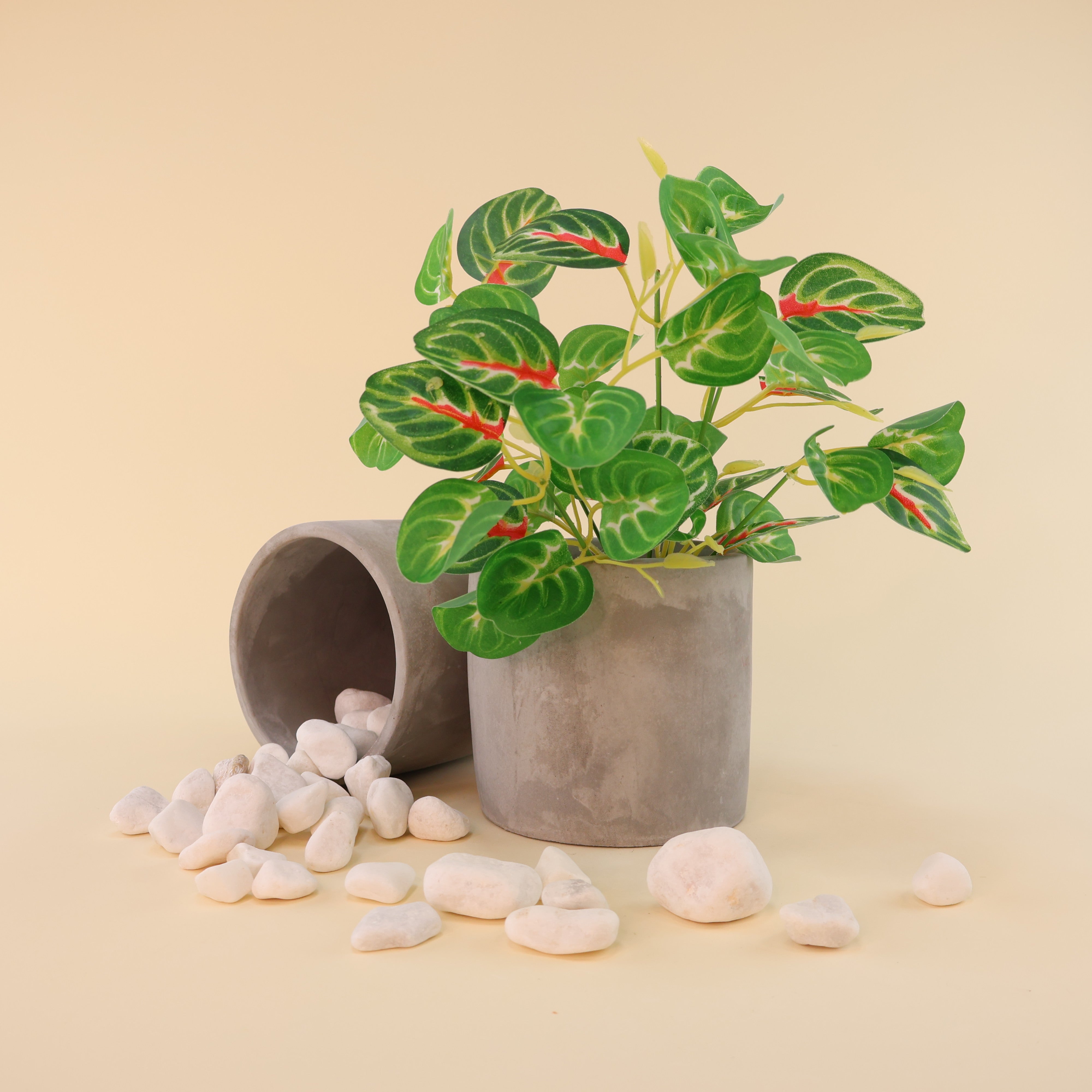 Künstliche Grünpflanze mit herzförmigen Blättern in verschiedenen Grüntönen und markanten roten Blattakzenten in einem grauen Blumentopf. Ein liegender Keramiktopf und verstreute weiße Dekosteine ergänzen die natürliche Präsentation auf hellem Hintergrund.
